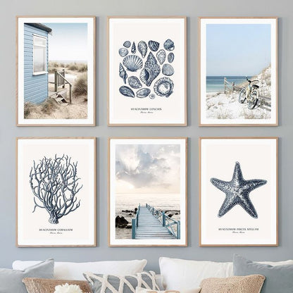 Shells FrameArt | Set of 6