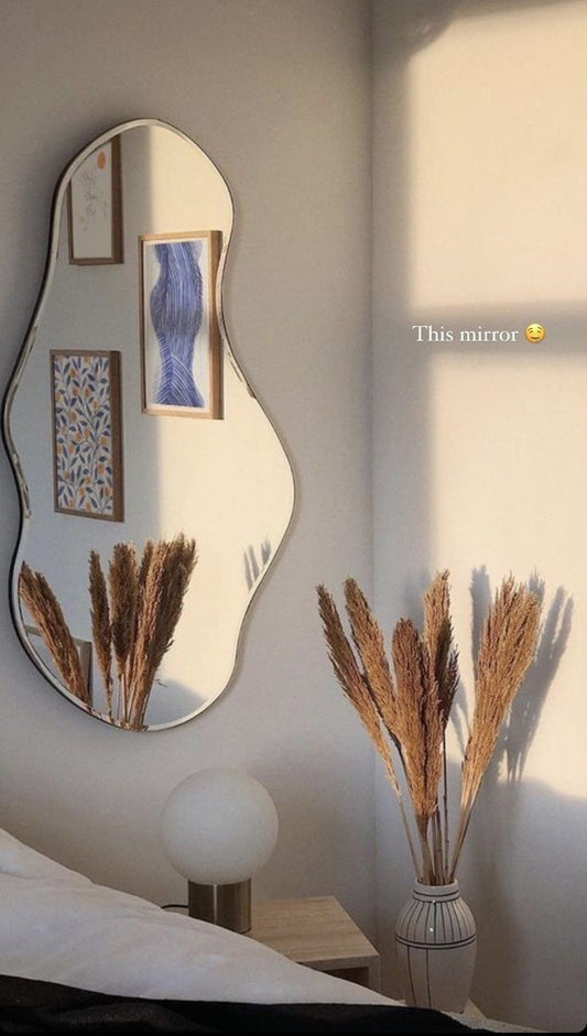 Amoeba organic-shaped modern wall mirror design